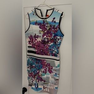 Clover Canyon Greece dress